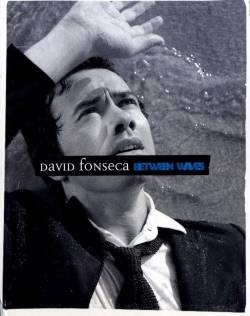 David Fonseca : Between Waves